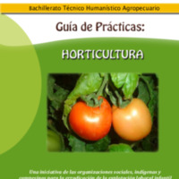 37 HORTICULTURA.pdf