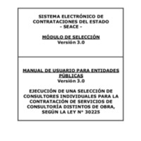 228 Manual del SEACE.pdf